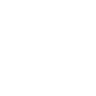 Pursuer